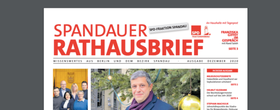 Verstößt die Spandauer SPD gegen das Bezirksverwaltungsrecht?