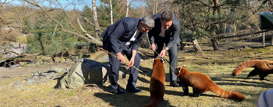 Animalischer Wahlkampf: SPD-Politiker Krach und Saleh besuchen Berliner Tierpark