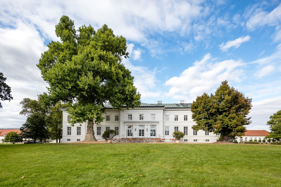 Daniel Hope auf Schloss Neuhardenberg