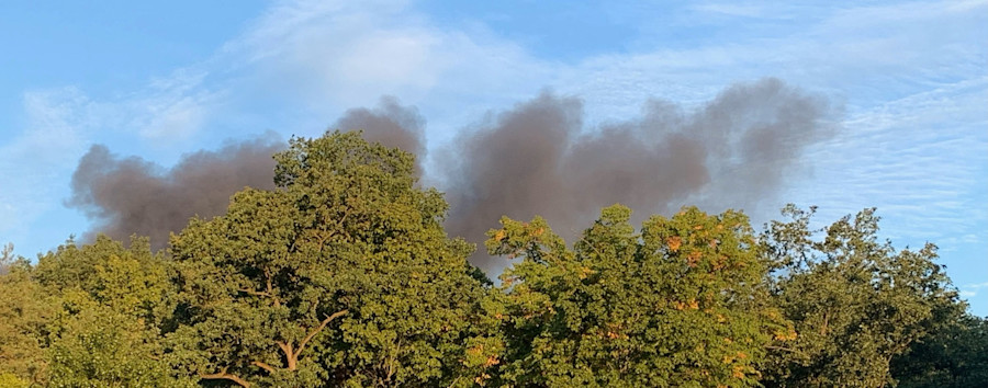 „Die Lage ist ernst“: Waldbrandgefahr in Berlin erreicht höchste Stufe