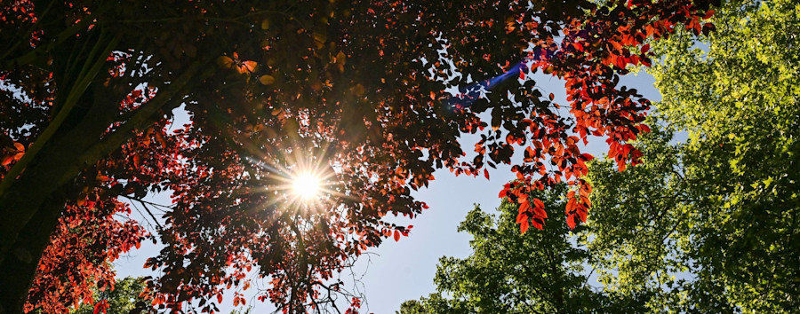 Sommer, Sonne, Krankenschein: Immer mehr Arbeitsausfälle wegen Hitze