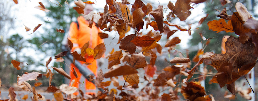 Verstöße kosten bis zu 50.000 Euro: Strenge Regeln für Laubbläser in Berlin