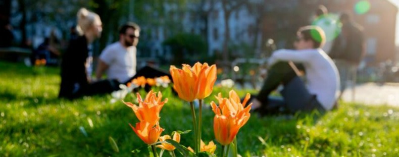 Hunderttausende lassen sich pro Tag impfen