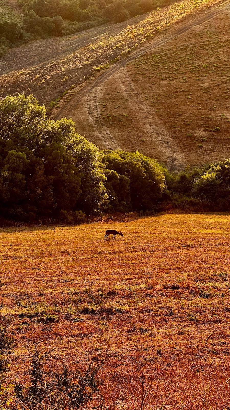 Urlaubsgrüße von Thorsten Müller aus der Toskana