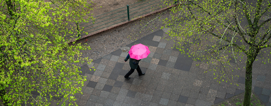 Chefmeteorologe ist besorgt: Niederschlag in Berlin und Brandenburg liegt zur Jahreshälfte deutlich unter Sollwert
