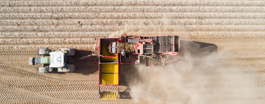 Trockenheit sorgt für Probleme: Landwirtinnen und Landwirte in Brandenburg verzeichnen heftige Ernteausfälle