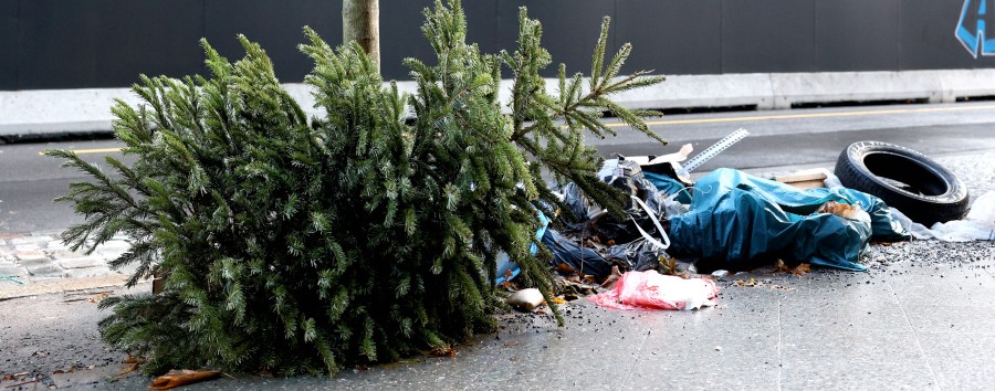 „Aufdeckung und Ahndung nur ‚in flagranti‘ möglich“: 40.000 Kubikmeter Müll landen illegal auf Berlins Straßen