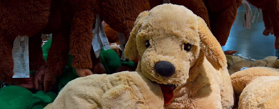 So viele Kuscheltiere gehen in Berlin verloren – Bilanz von Fundbüro, BVG und S-Bahn