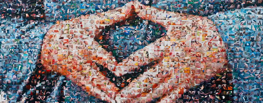 Wozu Wahlplakate in Wirklichkeit gut sind