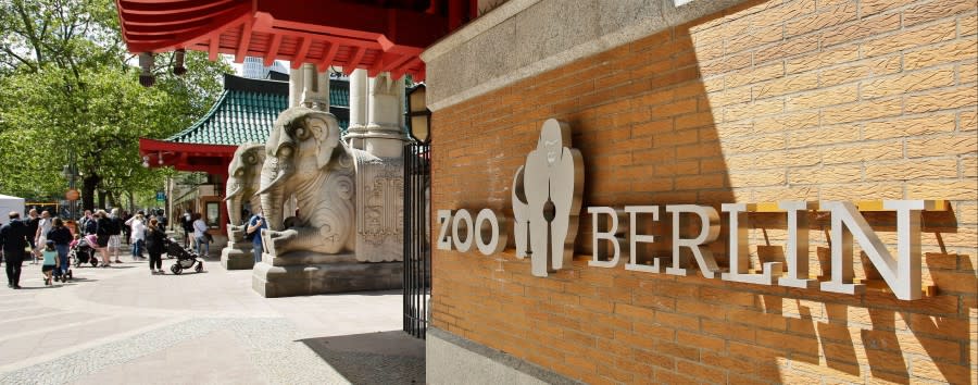 Berlin laust der Affe: Zoo und Tierpark werden deutlich teurer