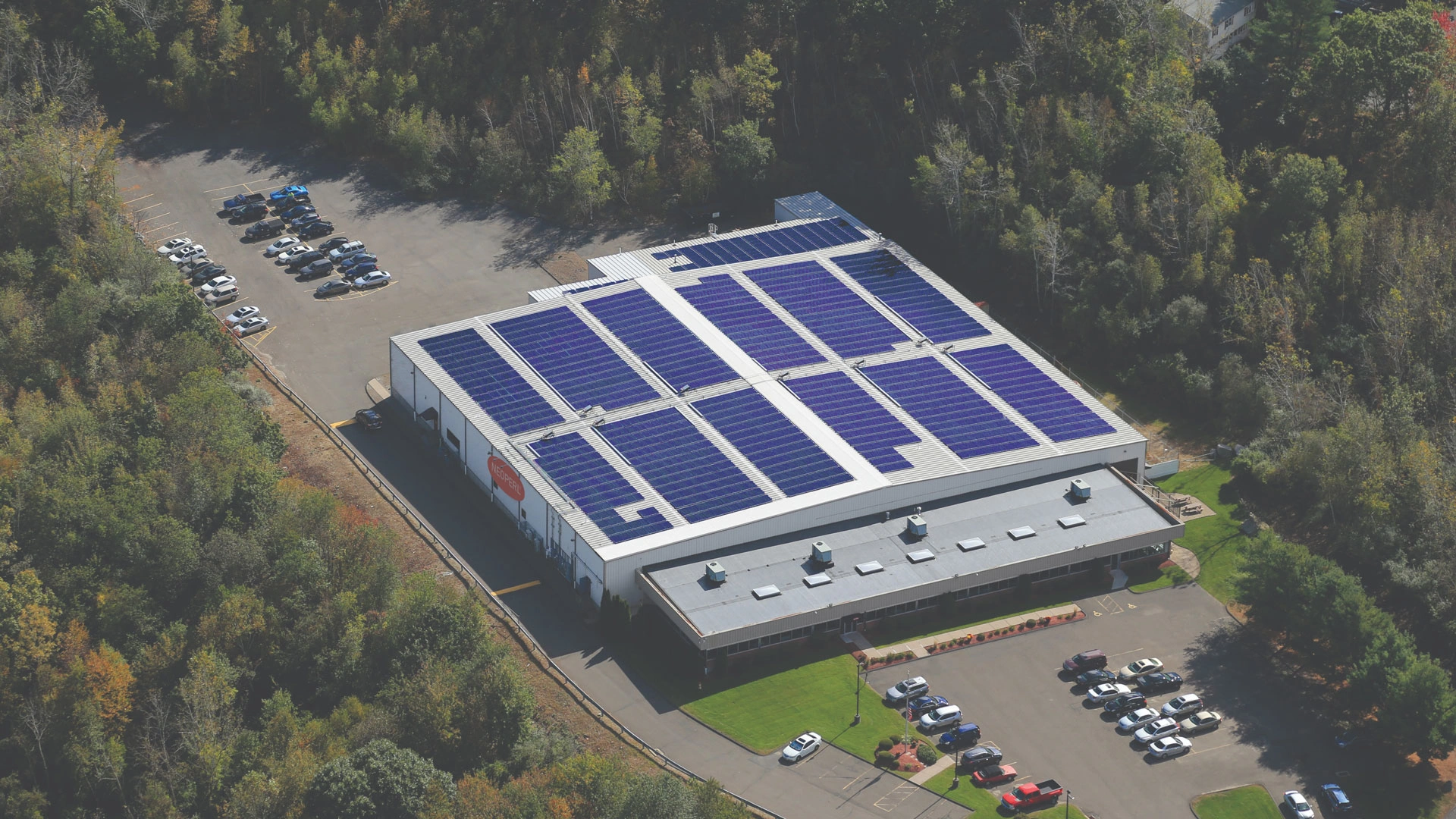 Neoperi Reshoot-24-edited2