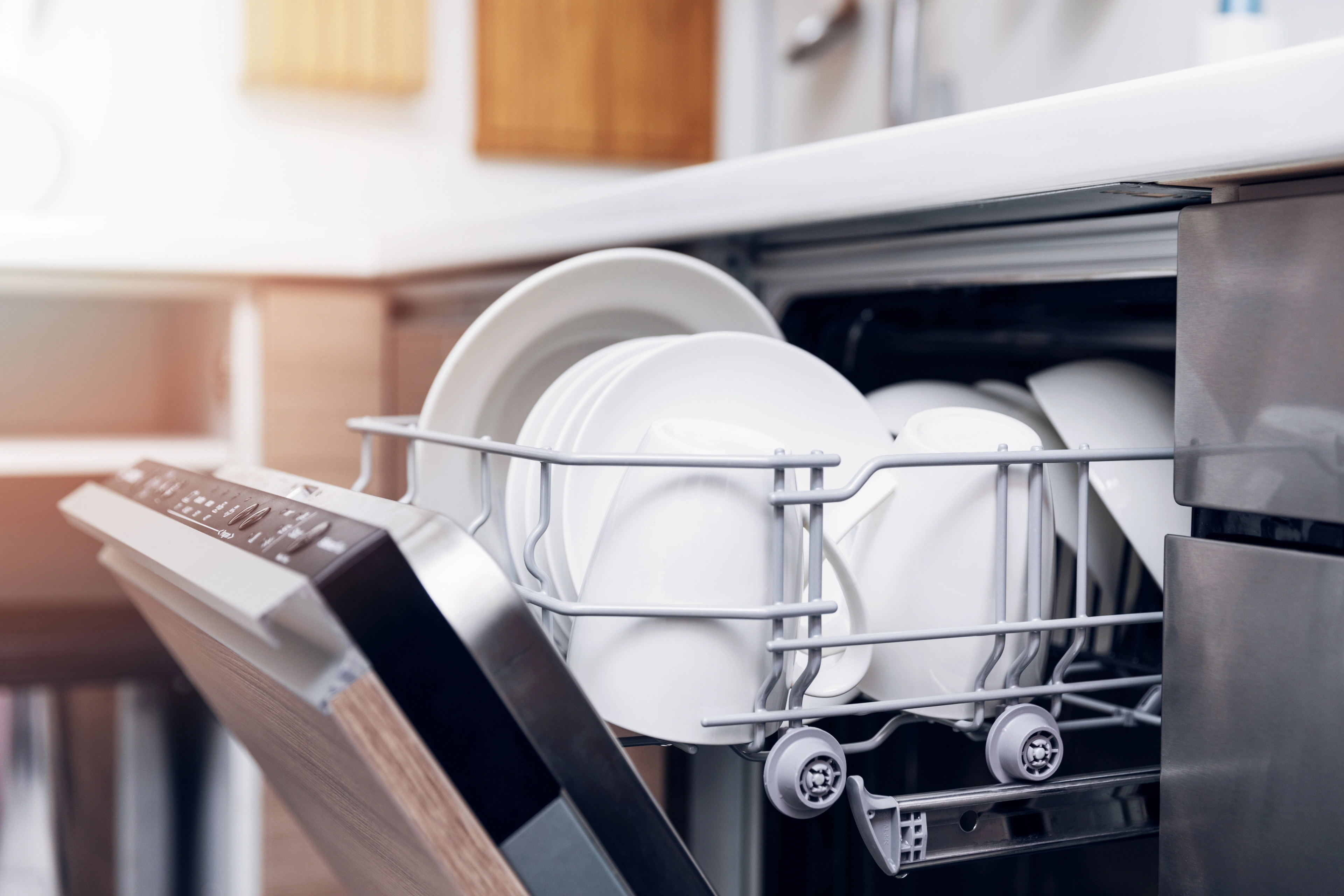 IS_Industry_Appliances_Application_Dishwasher
