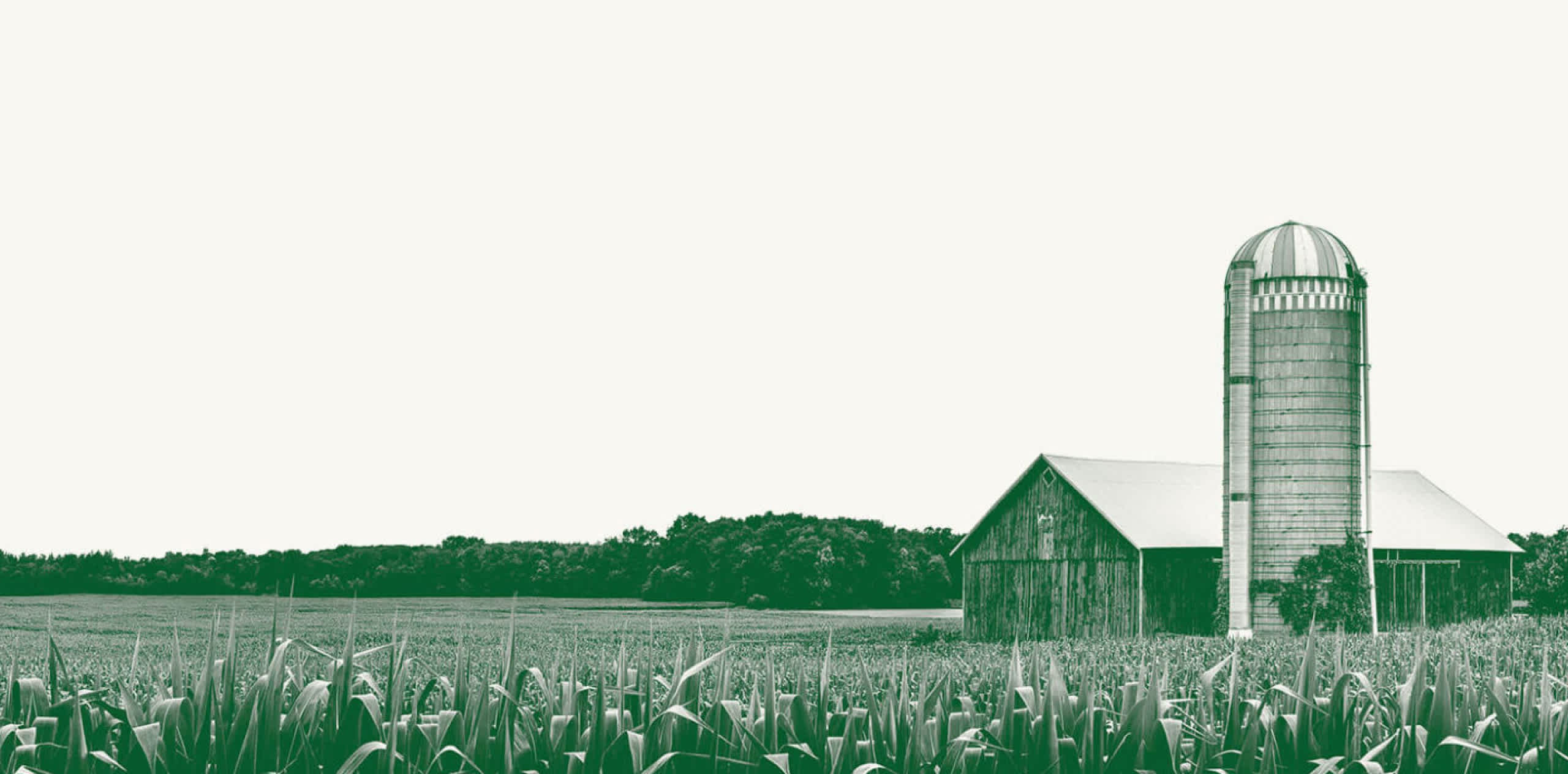 How Ranching For Profit Used Mighty Networks to Lasso Their Audience