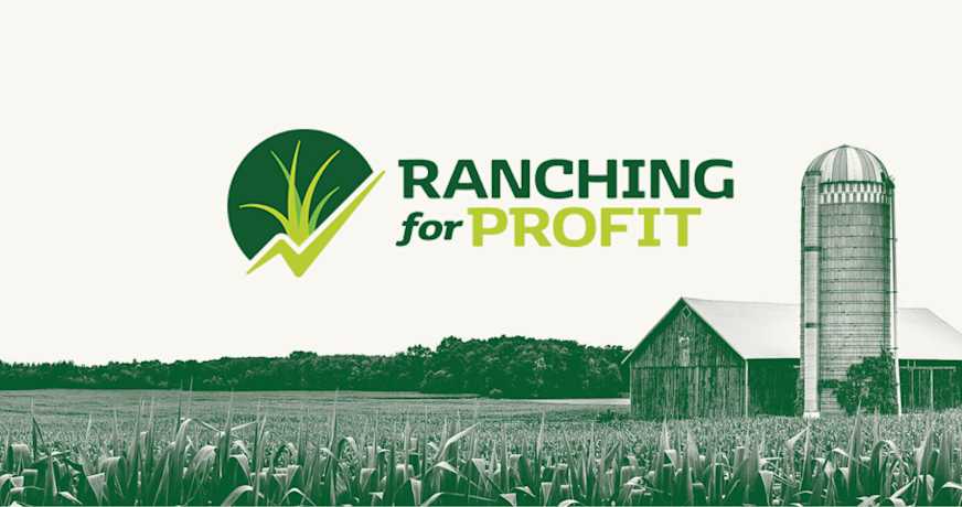 How Ranching For Profit Used Mighty Networks to Lasso Their Audience
