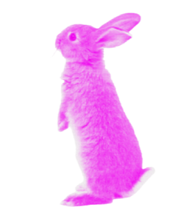 bunny back