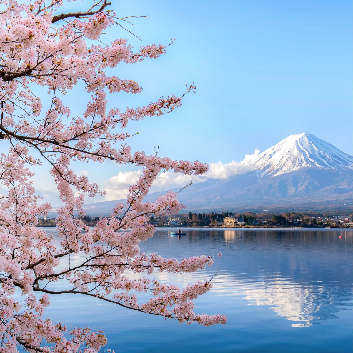 Mt. Fuji, Japan