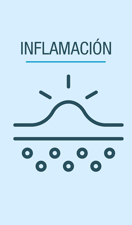 Glosario de ingredientes - Inflamación