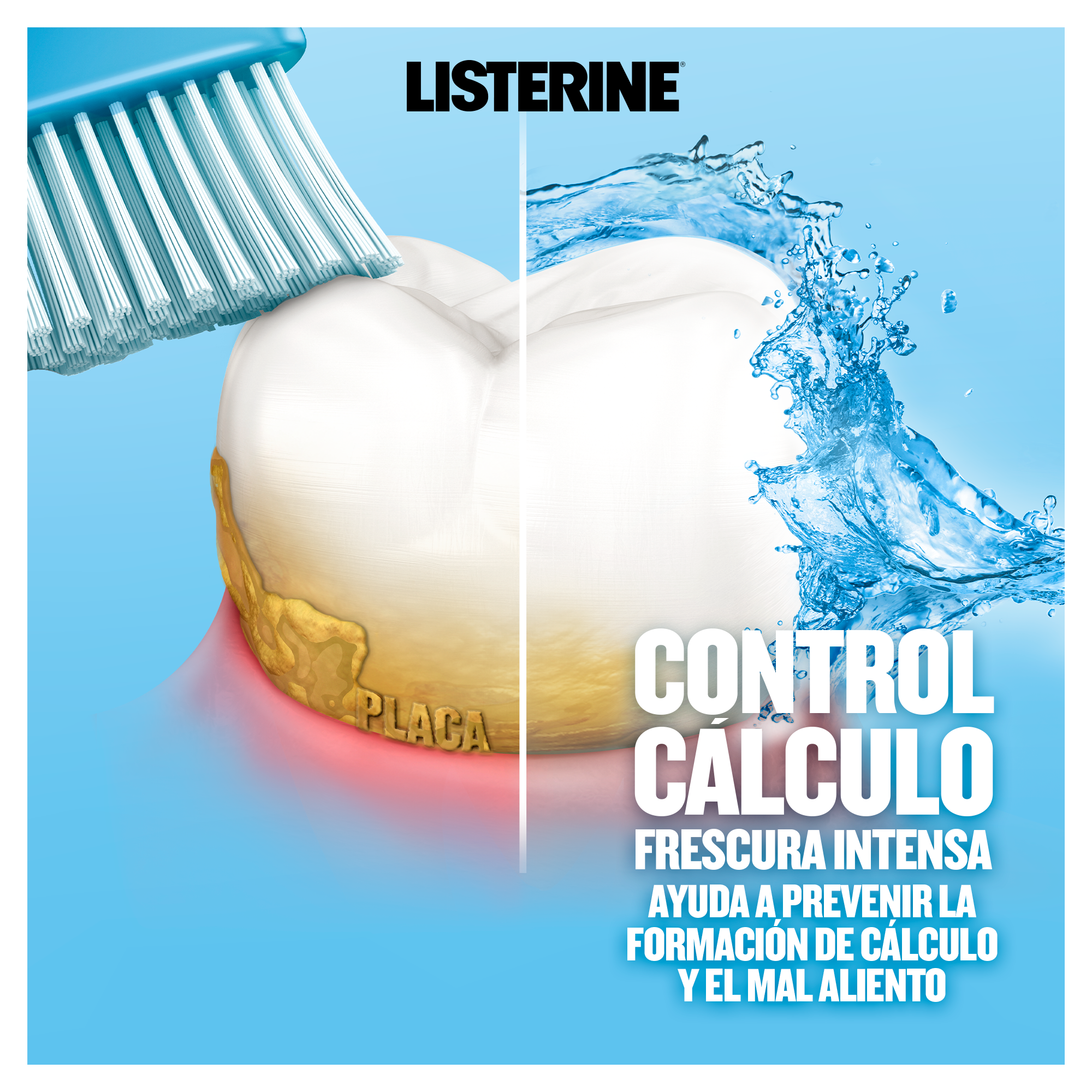 Control cálculo frescura intensa