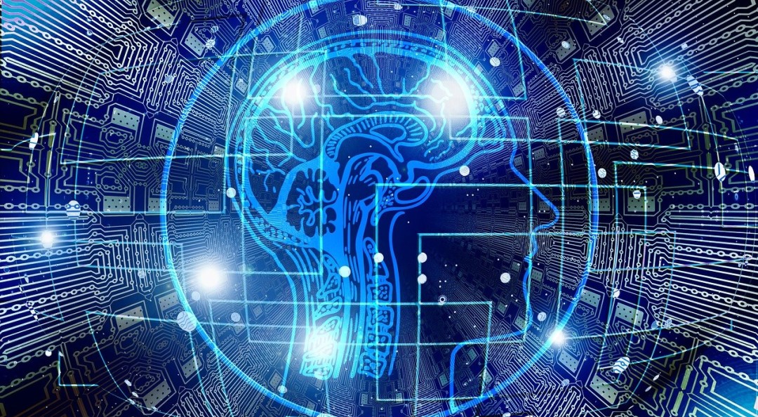 文科省、デジタル上に脳の仕組み再現「脳神経科学統合プログラム」公開―脳神経疾患の治療・創薬、シーズ開発へ