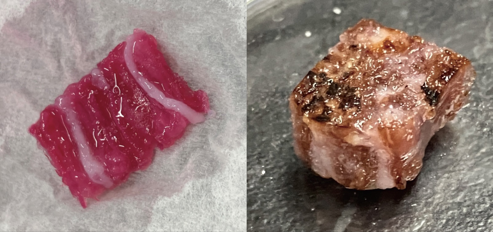 大阪・関西万博で培養肉の未来を体験―家庭で3Dプリンターで作る霜降り肉、凸版らが公開