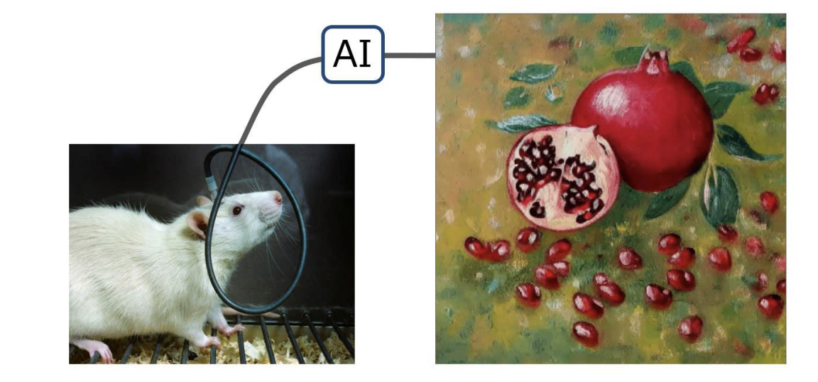 世界初、東京大学がネズミの脳で絵を描くことに成功―脳とAIを接続