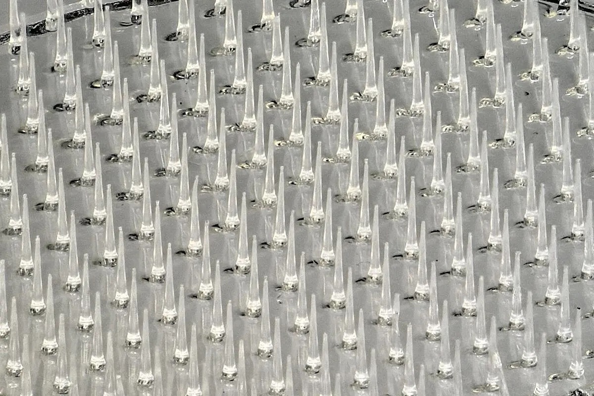 69471-46-cd1fba64f5ad3e4aee053821c5bf7fe1-1200x800