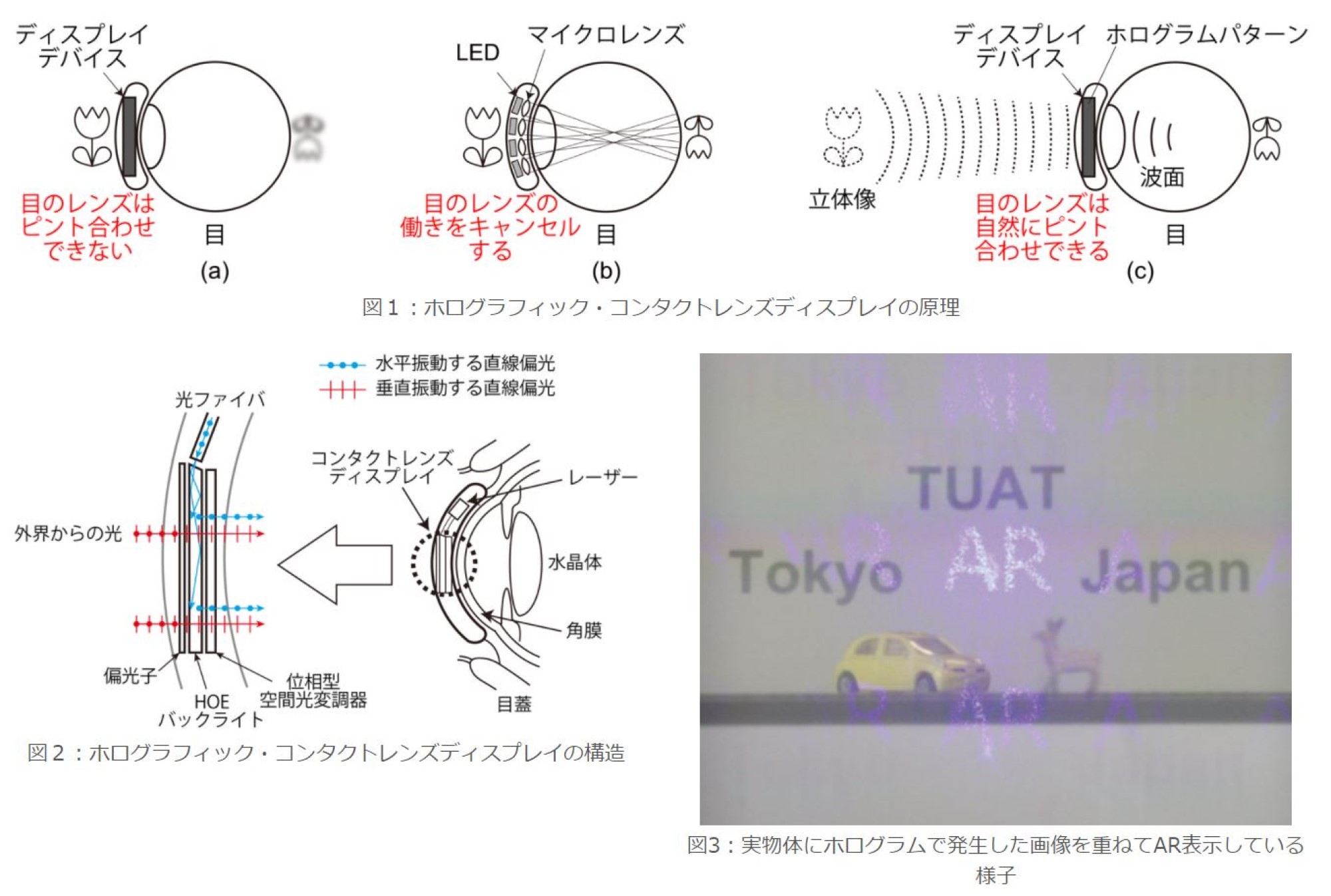 ホログラフィック・コンタクトレンズディスプレイ