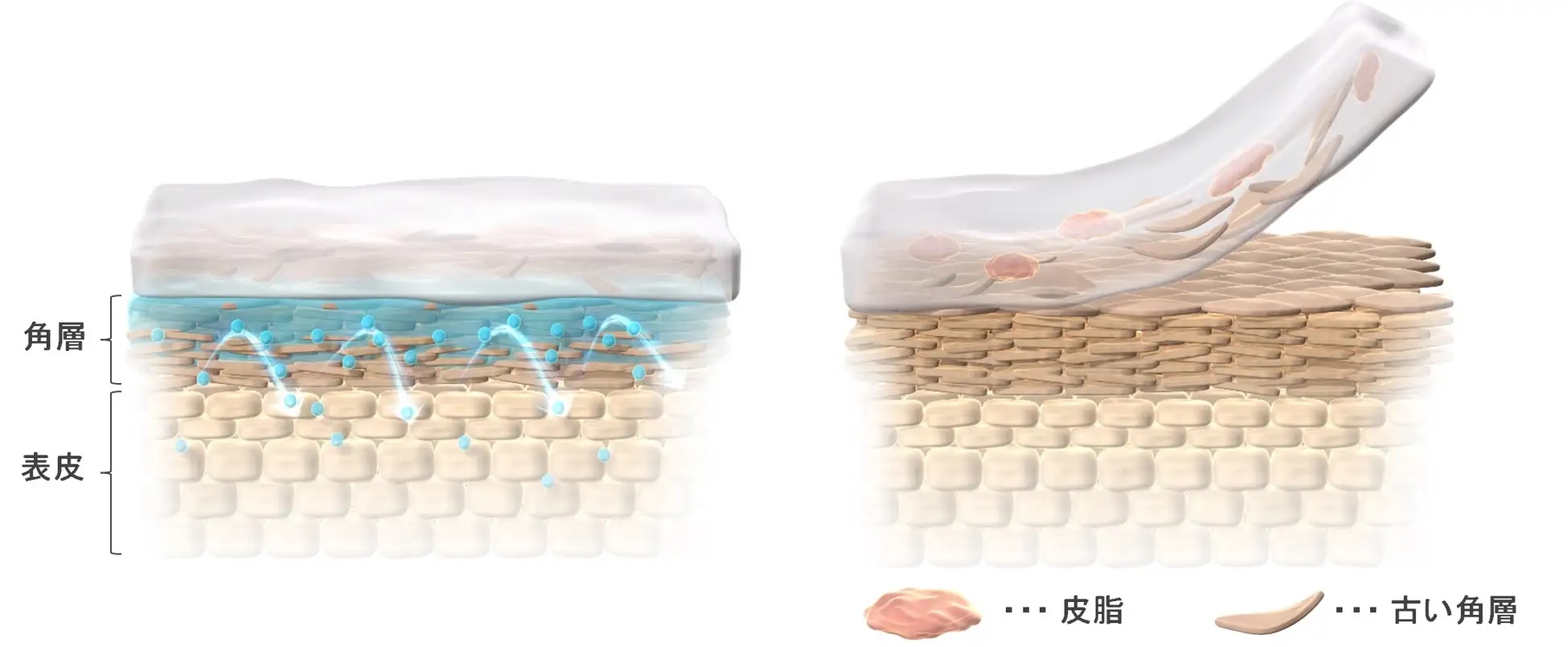 shiseido 02