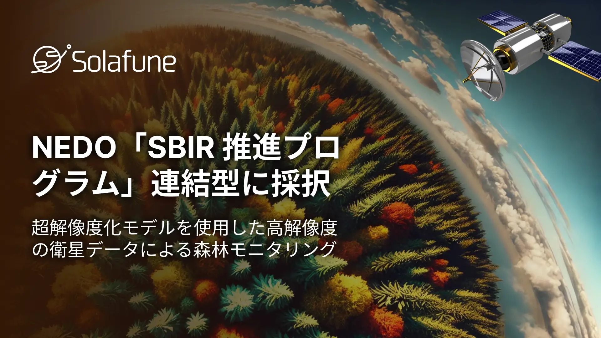 Solafuneの森林モニタリング技術、NEDO「SBIR推進プログラム」に採択―AIと衛星データで森林状況を把握