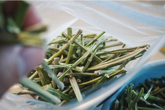 d82551-2-7e543b0fa007d507b35b-21