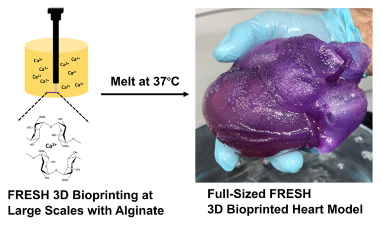 3D-Bioprinting-6