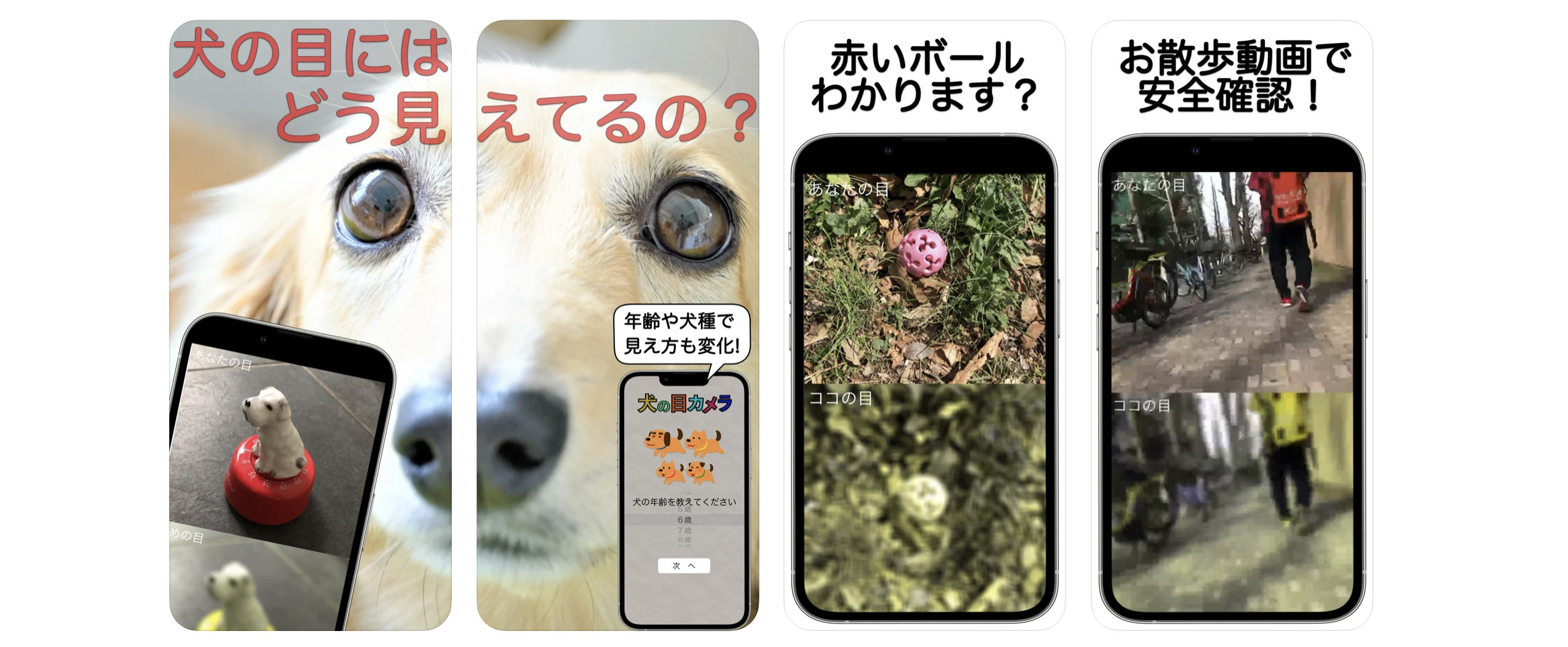 犬の視覚が疑似体験できるスマホアプリ「犬の目カメラ」がリリース