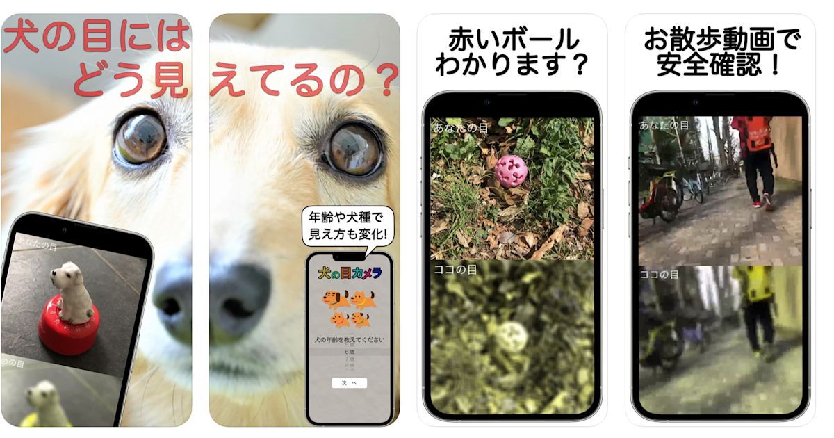犬の視覚が疑似体験できるスマホアプリ 犬の目カメラ がリリース 知財図鑑 犬の視覚が疑似体験できるスマホアプリ 犬の目カメラ がリリース 知財図鑑