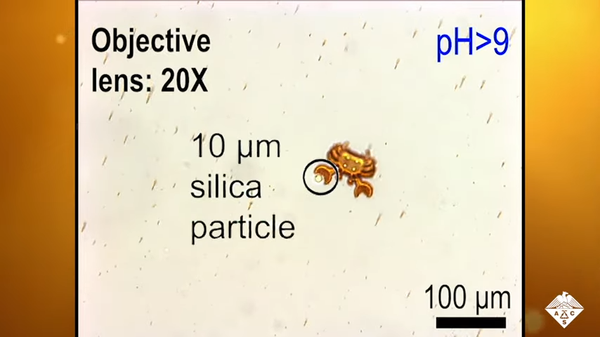 Shape-Morphing Microrobots Deliver Drugs to Cancer Cells 1-8 screenshot