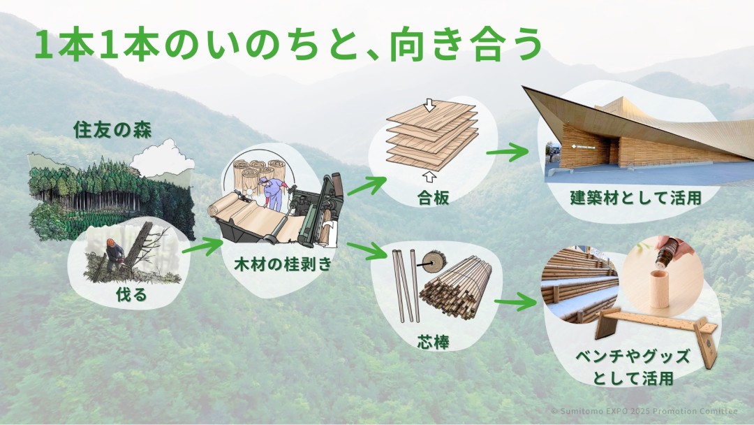 住友館_sub8