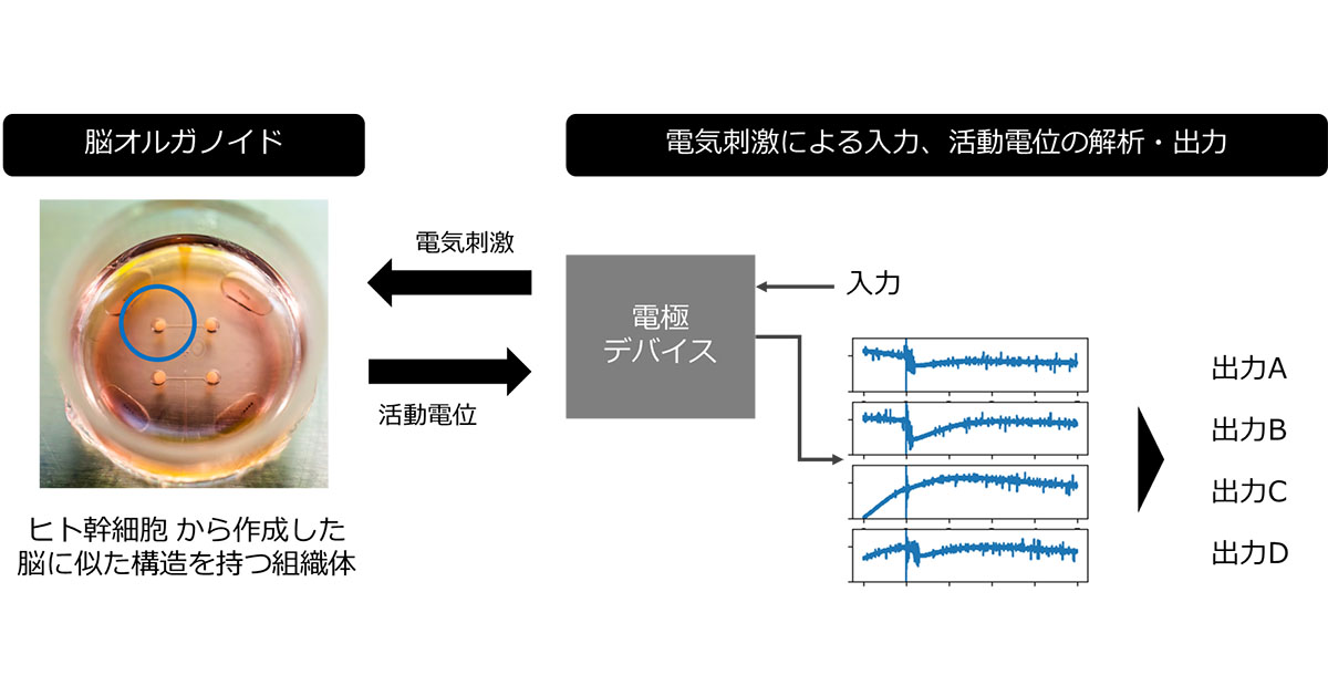 img-article-1