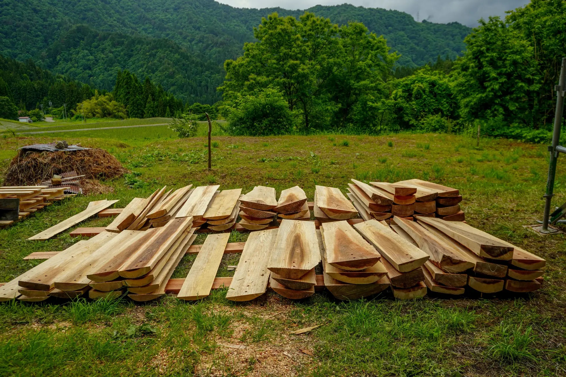 123873-3-6044630a676b7138ff0ca043d757f27d-3900x2600