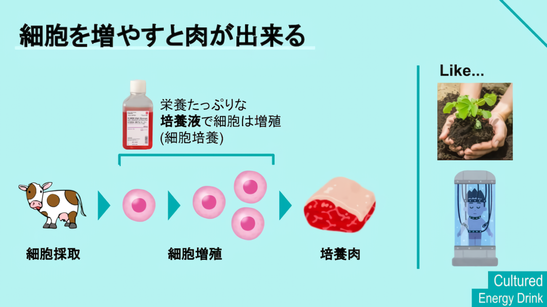 培養液_sub1