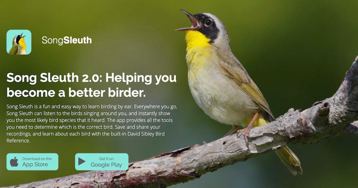Song Sleuth ソングスルース 鳴き声から野鳥を識別するアプリ 知財図鑑 Song Sleuth ソングスルース 鳴き声から野鳥を識別するアプリ 知財図鑑