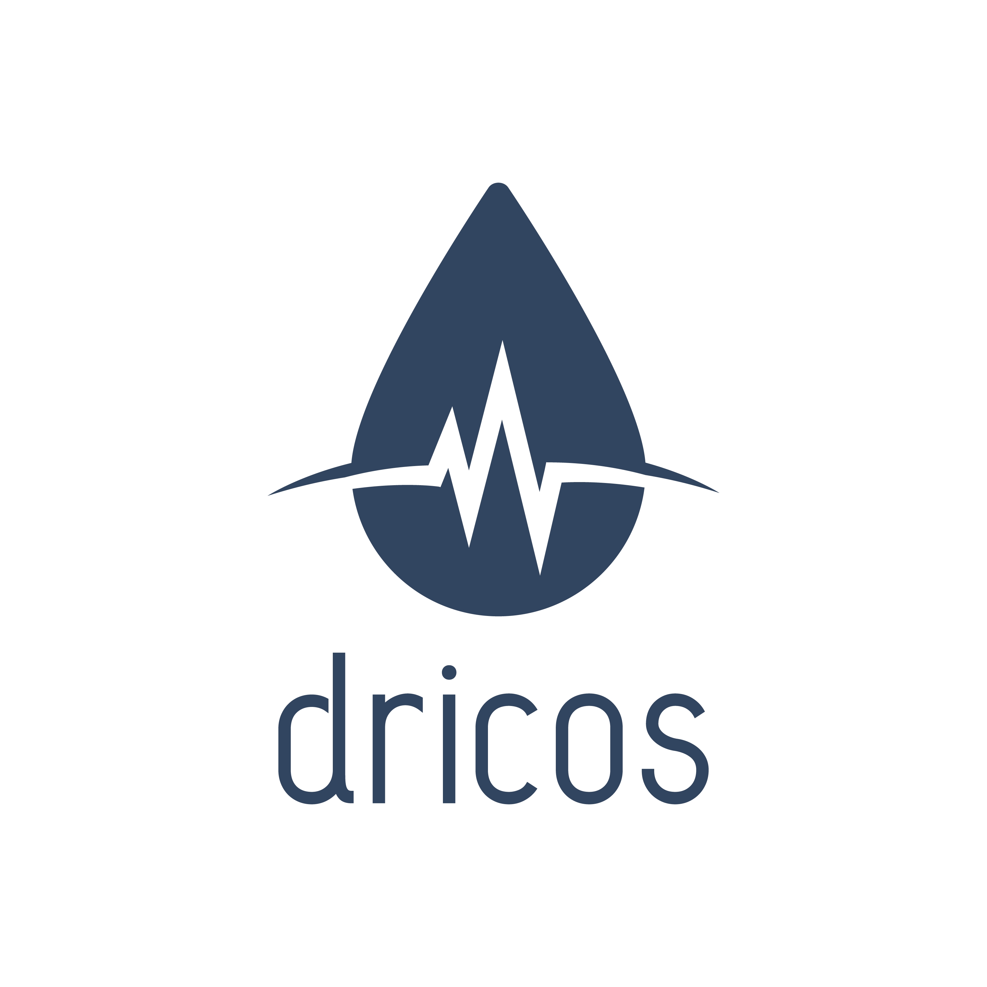 ドリコス 株式会社