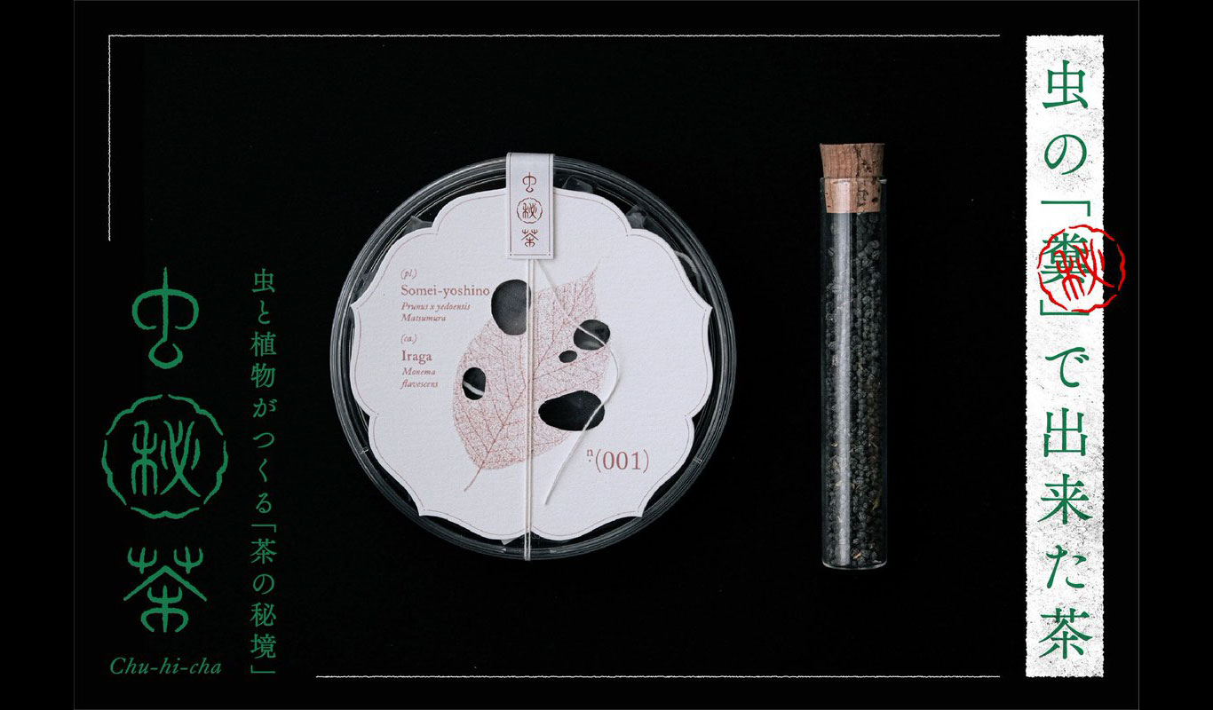 植物を食べた虫の"糞"からできたお茶「虫秘茶」─京都大学の院生が特許出願、クラウドファンディングで販売開始