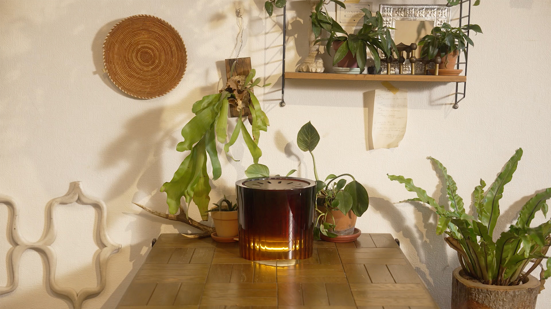 Scentdays2025-11-14-17.08.28 crop