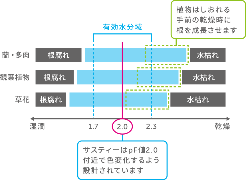 pf img-1