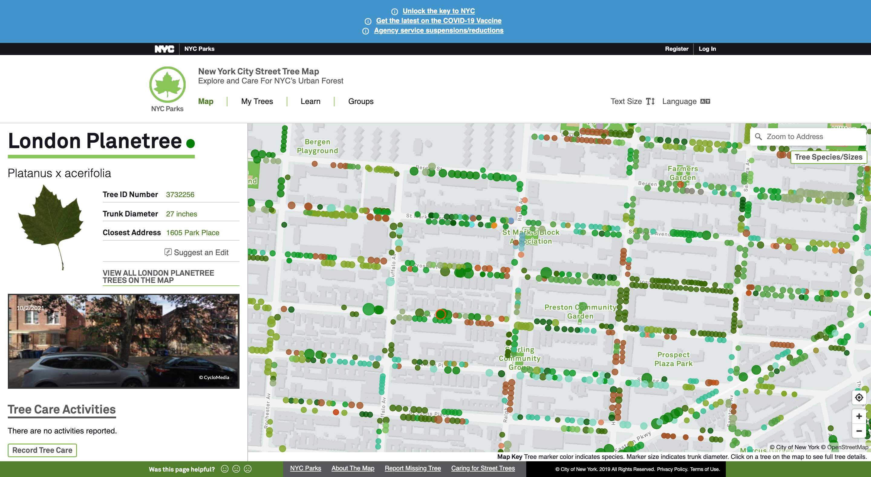 New York City Street Tree Map