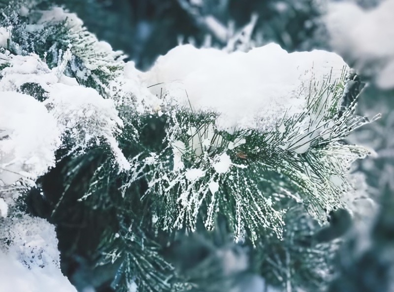 “本物よりもリアルな雪”の表現で空間演出する人工雪ブランド