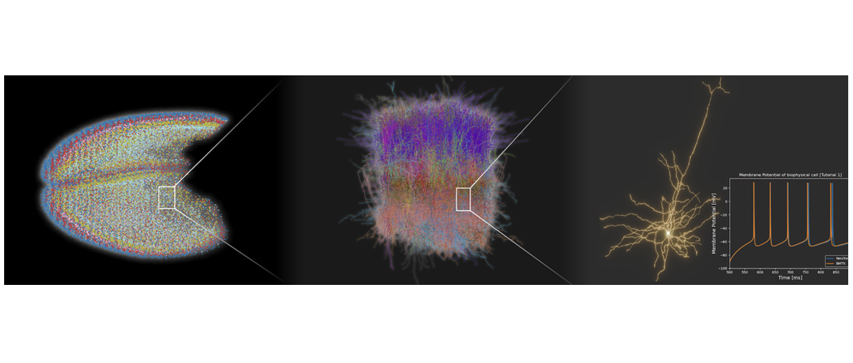 スクリーンショット 2025-12-08 12.34.43