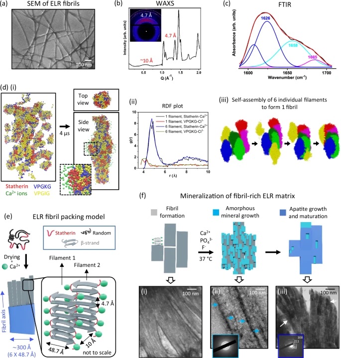 41467 2025 64982 Fig1 HTML