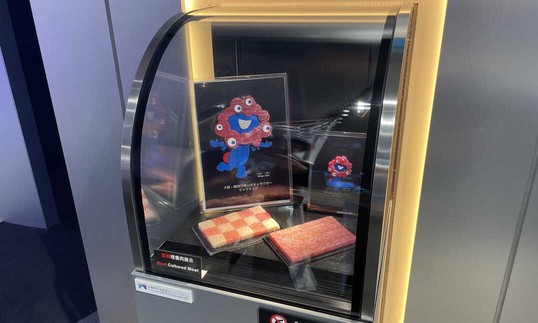 20260203 myakumyaku 02 1-thumb-1076xauto-21186