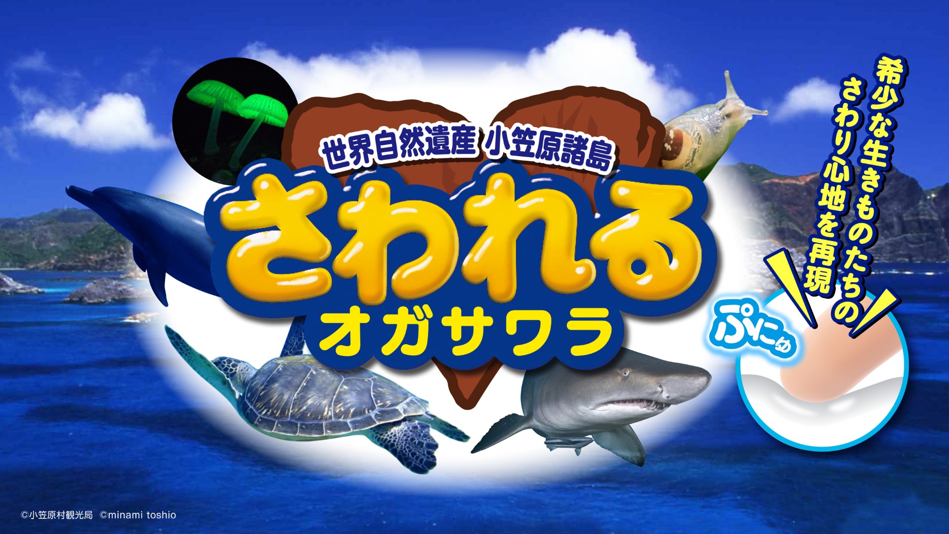 知財図鑑×タイカの『未来の妄想アイデア』が商品化─多機能素材「αGEL」で生きものの触感を楽しむアイデアが採用