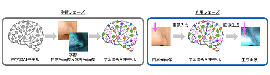 ライオンアクネ_sub1